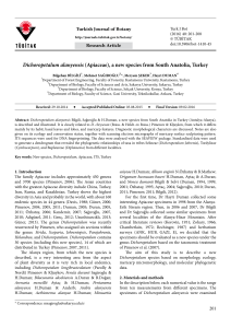 Dichoropetalum alanyensis (Apiaceae), a new