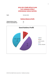 2010-2013 Lansman Sonuç Raporu