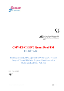 CMV EBV HHV6 Quant Real TM CE