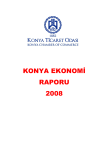 konya ekonomi raporu 2008