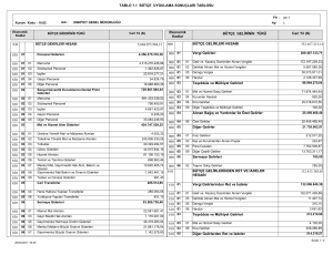 tablo 1.1 bütçe uygulama sonuçları tablosu