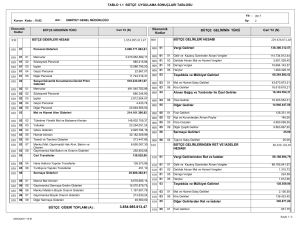 TABLO 1.1 BÜTÇE UYGULAMA SONUÇLARI TABLOSU 229.838