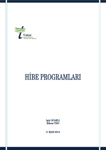 1. kamu kurumlarının programları
