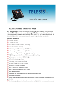 telesis vts480 hd görüntülü ıp set
