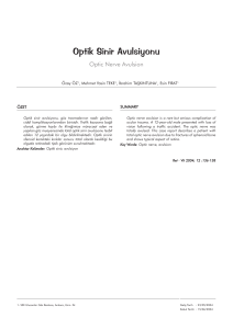Optik Sinir Avulsiyonu - Retina