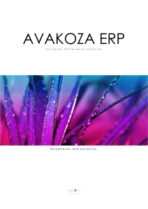 AvaKoza ERP - YazEvi Yazılım