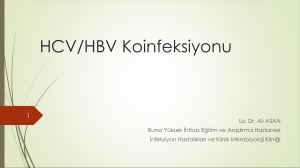 HCV-HBV-Koinfeksiyon..