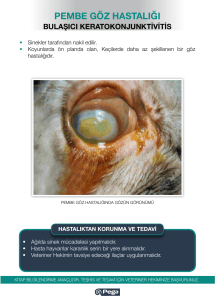 pembe göz hastalığı