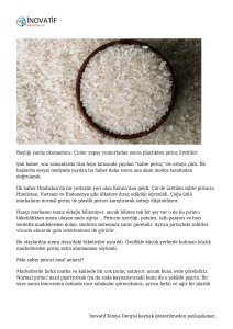Çin Plastik Pirinç Üretti | İnovatif Kimya Dergisi