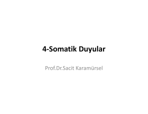 4-Somatik Duyular