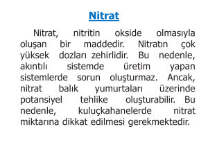 Nitrat