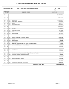 giderlerin ekonomik sınıflandırılması tablosu