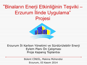 Erzurum`da Binalarda Enerji Verimliliği Teşviği Projesi