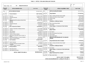 1.1 Bütçe Uygulama Sonuçları Tablosu