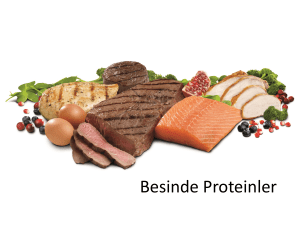 Besinde Proteinler