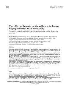 The effect of heparin on the cell cycle in human B