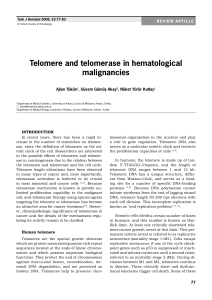 Telomere and telomerase in hematological