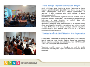 Trans Terapi Toplantıları Devam Ediyor Türkiye`nin İlk LGBTİ