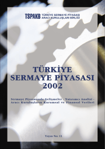 Türkiye Sermaye Piyasası 2002