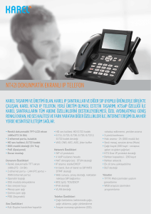 NT42I Dokunmatik Ekranlı IP Telefon Broşürü