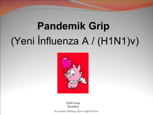 Pandemik Grip (Yeni İnfluenza A / (H1N1)v)
