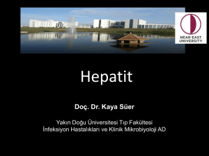 hepatit eğitimi 2015 ydü_20