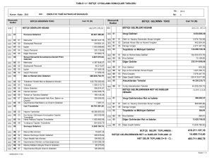 TABLO 1.1 BÜTÇE UYGULAMA SONUÇLARI TABLOSU 418.211