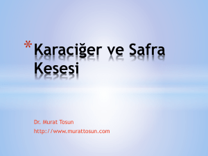 Karaciğer ve Safra Kesesi - Prof.Dr. Murat TOSUN Bireysel ve Eğitim