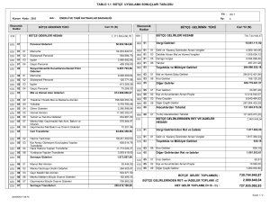 1.1 Bütçe Uygulama Sonuçları Tablosu