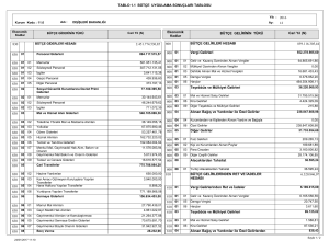 1.1 Bütçe Uygulama Sonuçları Tablosu