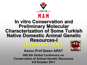 Arat, S. 2011. In vitro Conservation and