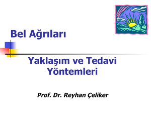 Bel Ağrıları - Prof. Dr. Reyhan Çeliker