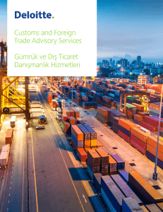 Customs and Foreign Trade Advisory Services Gümrük ve Dış