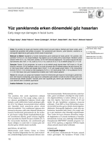 PDF (Turkish)