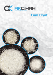 Cam Elyaf PDF
