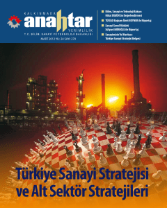 Türkiye Sanayi Stratejisi ve Alt Sektör Stratejileri