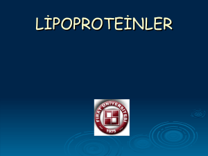 Plazma Lipidleri-Ateroskleroz (Lipoproteinler)
