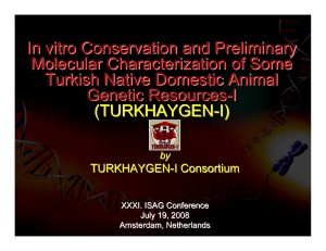 In vitro Conservation and Preliminary Molecular Characterization of