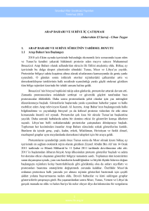 İstanbul Fikir Enstitüsü Yayınları Temmuz 2015 1 www.ife.org.tr