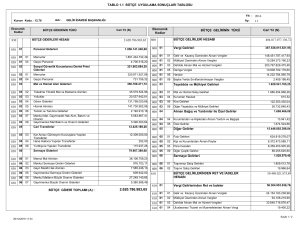 1.1 bütçe uygulama sonuçları tablosu