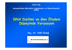 DNA Dizilimi ve Gen Đfadesi Düzeyinde Varyasyon