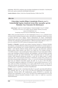PD–114 Güneydoğu Anadolu Bölgesi Antepfıstığı (Pistacia vera L