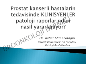 Dr. Bahar Müezzinoğlu