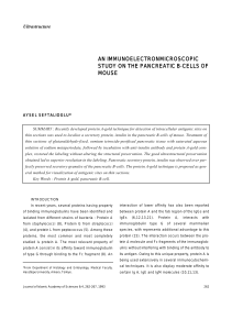 an immunoelectronmicroscopic study on the pancreatic b