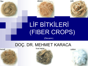 lif bitkileri (fıber crops) - hazar