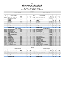 tc kilis 7 aralık üniversitesi sosyal bilimler enstitüsü iktisat anabilim