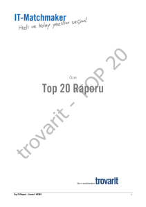 Top 20 Raporu - IT