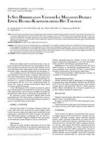 in situ hibridizasyon - Turkish Journal of Pathology