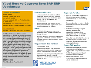 Yücel Boru ve Çayırova Boru SAP ERP Uygulaması
