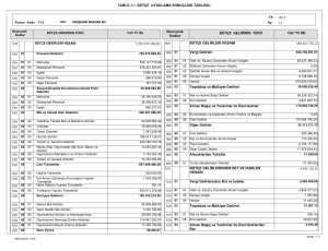 TABLO 1.1 BÜTÇE UYGULAMA SONUÇLARI TABLOSU 880.823